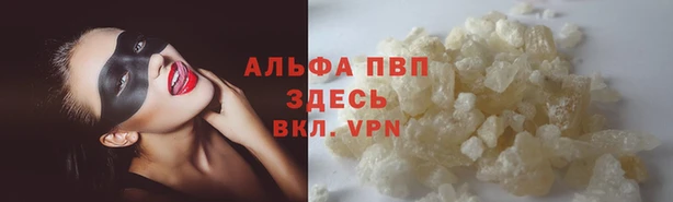 кокс Бородино