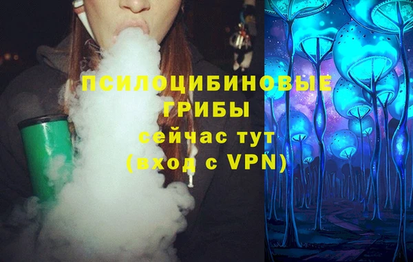 кокс Бородино