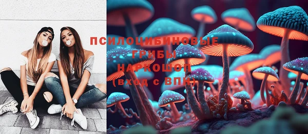 скорость Бронницы