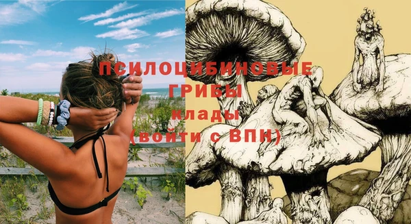 скорость Бронницы