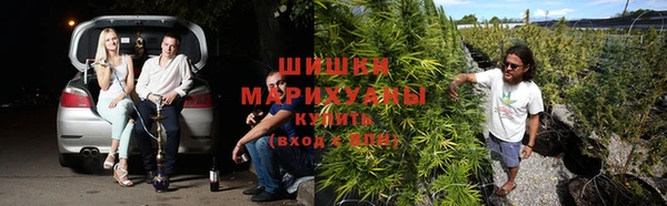 кокс Бородино