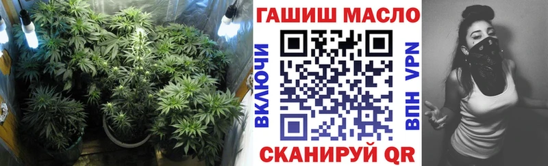 закладки  Ногинск  hydra ТОР  ТГК жижа 