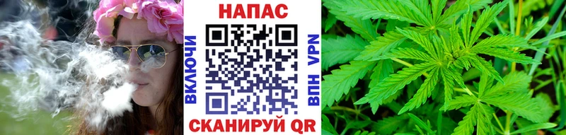 продажа наркотиков  ОМГ ОМГ зеркало  Шишки марихуана индика  Ногинск 